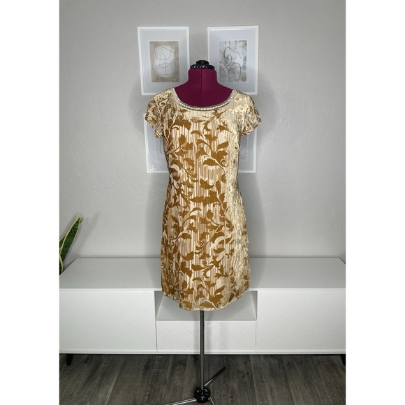 Sundance Dresses & Skirts - Sundance Dress Women's 10 Champagne Vineyard‎ Silk Burnout Velvet Embellished